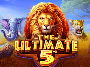 دی الٹیمیٹ 5 game thumbnail
